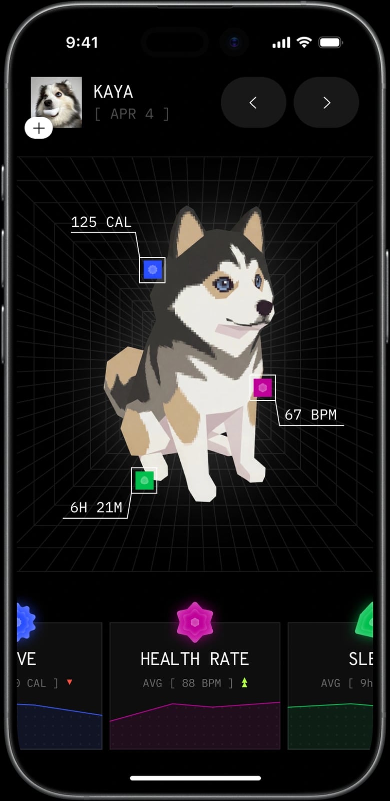 Pet’s health