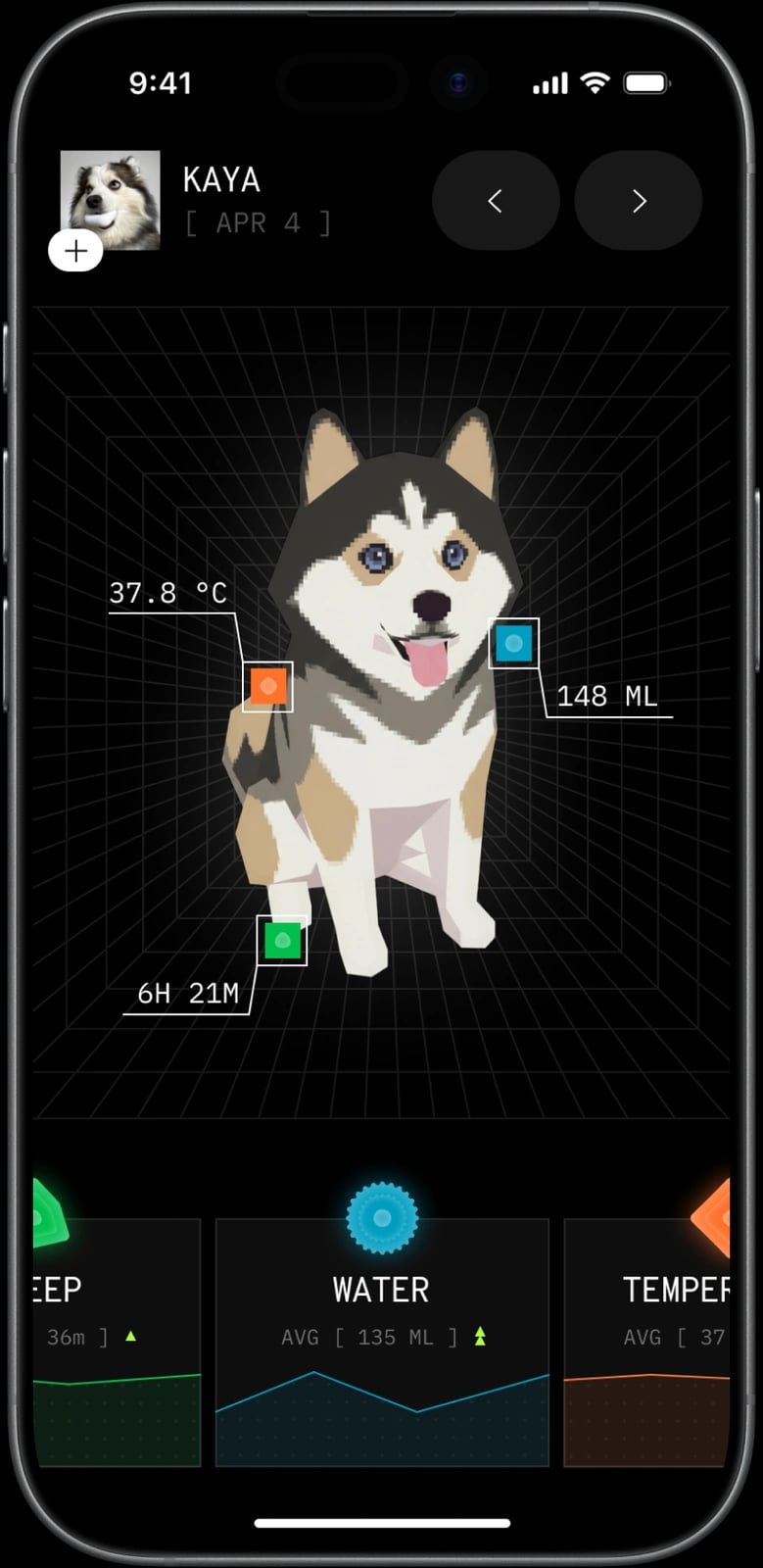 Pet’s health